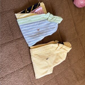 Set of 2 Polo by Ralph Lauren